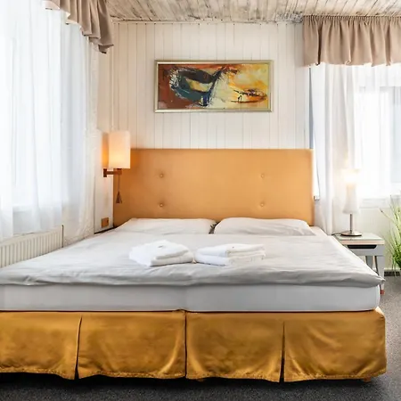 Schwarz Hotel 3*